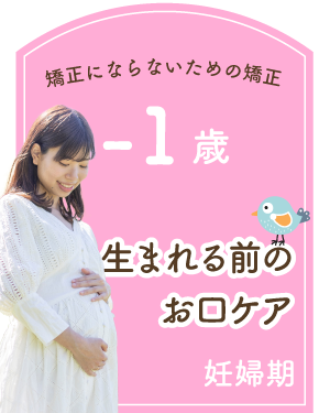妊婦期 -1歳