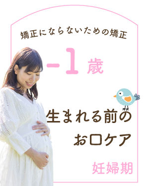 妊婦期 -1歳