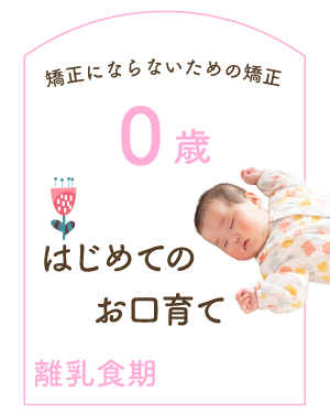 離乳食期 0歳