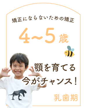 乳歯期 4〜5歳